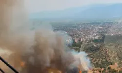 Aydın'da Tarım Arazisinde Yangın