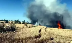 Tekirdağ'da 50 Dekar Ekili Buğday Yandı
