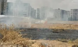 Anız Yangını, Yerleşim Alanlarına Sıçramadan Söndürüldü