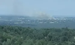 Çanakkale'de Tarım Arazisinde Yangın