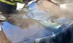 Park Halindeki Otomobilde Yangın Çıktı