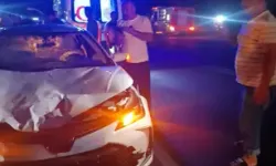 Derik'te Otomobil Eşeğe Çarptı: Sürücü Ve Eşek Yaralandı