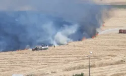 Diyarbakır'da Anız Yangını Söndürüldü