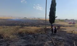 Mardin'de 8 Farklı Noktada Anız Ve Bahçe Yangını