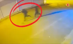 Diyarbakır’da Çıkar Amaçlı Silahlı Suç Örgütüne Operasyon: 15 Tutuklama