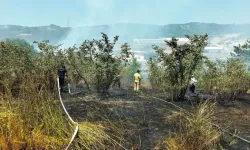 Zonguldak'ta Anız Yangını Büyümeden Söndürüldü