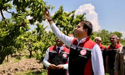 Vali Abdullah Köklü, Güryıldız’da Üreticilerle Buluştu: Tokat’ta Hasat Bereketi Başladı