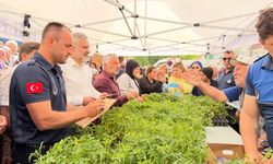 Belediye Seralarında Yetişen 15 Bin Ata Tohumu Domates Fidesi Vatandaşla Buluştu