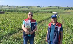 Erbaa ve Turhal'da Tarımda Taviz Yok: Denetimler Yıl Boyu Kesintisiz Sürecek!