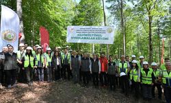 Erbaa Ormanlarında Büyük Buluşma: Geleceğin Ormanları İçin "Silvikültür" Seferberliği!