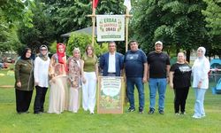 Erbaa Anaokulu’nda Doğa Sevgisi Kamp Ateşiyle Tutuştu: Miniklerin Kamp Heyecanı!