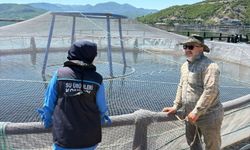Almus Baraj Gölü’nde Su Ürünleri Tesislerine Sıkı Denetim!