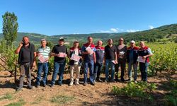 Tokat İl Tarım’dan Güvenilir Üretim Hamlesi: Bağlarda Kalıntı Eylem Planı Devrede