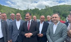 Milletvekili Aldemir Duyurdu: Tozanlı Grup Yolu Çalışmaları Başladı!