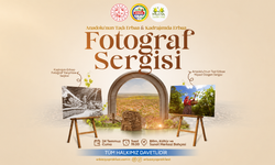 Erbaa Yaprak Festivali Kapsamında Fotoğraf Yarışması ve Sergi Düzenleniyor