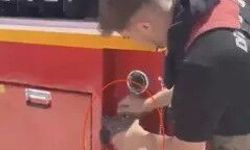 Anız Yangınında Kaplumbağayı İtfaiye Kurtardı