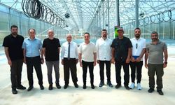 Tokat’a Müjde! TOGÜ Yıllık 50 Ton Patates Tohumu Üretecek