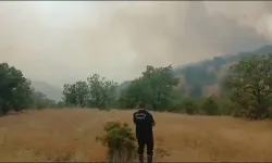 Malatya'da orman yangını Çıktı