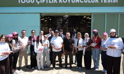 TOGÜ ve Yunus Emre Enstitüsü İş Birliğiyle Düzenlenen Uluslararası Yaz Okulu Sona Erdi