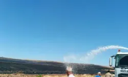 Kurtalan'da Yangında Buğday Ekili 800 Dönüm Alan Zarar Gördü