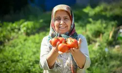 Altındağ Kent Bostanı'nda İlk Hasat Heyecanı