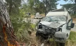 Kamyonet Ağaca Çarptı: 1 Ölü