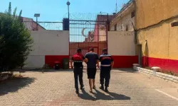 Aydın'da Koyun Hırsızlığı Şüphelisi Tutuklandı