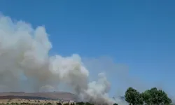 Ayvalık'ta Çöplükte Yangın Çıktı