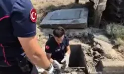 Mazgala Düşen Kedi İtfaiye Tarafından Kurtarıldı