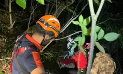 Kayıp Olarak Aranan Kişi, Dere Yatağında Yaralı Bulundu