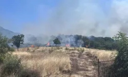 Çanakkale'de Orman Yangını Meydana Geldi