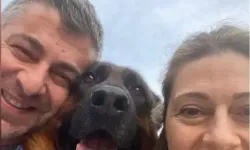 25 Gündür Kayıp Olan Köpek 'Santos'u Bulana 100 Bin Lira Ödül
