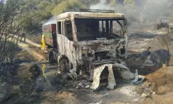 Aydın'daki Yangında 100 Hektar Zeytinlik Zarar Gördü