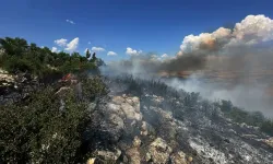 Gaziantep'te 1 Hektarlık Meşelik Alan Yandı