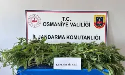 Osmaniye’de Jandarma Son Bir Haftada 164 Şüpheliyi Yakaladı