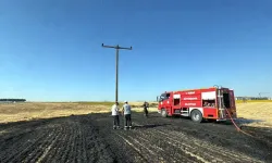 Elektrik Tellerinden Sıçrayan Kıvılcımdan Çıkan Yangında 5 Dekar Buğday Zarar Gördü