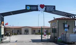 Sahipsiz 5 Bini Aşkın Hayvana Bakım Ve Tedavi Uygulandı