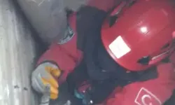 Havalandırma Boşluğundaki Boruya Sıkışan 2 Kediyi İtfaiye Kurtardı