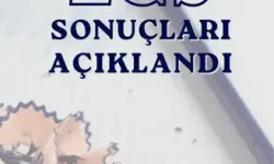 LGS Kapsamındaki Merkezi Sınav Sonuçları Açıklandı