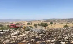 Diyarbakır'ın 2 İlçesinde Çıkan Yangında 270 Dönümlük Alan Yandı