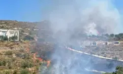 Bodrum'da Otluk Ve Makilik Alanda Yangın