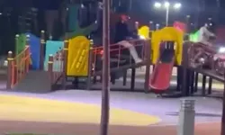 Çocuk Parkında, Motosikletleriyle Oyun Grubundaki Parkura Çıkan 2 Kuryeye 146 Bin TL Ceza
