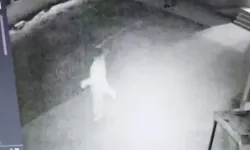 Cami Avlusunda Uygunsuz Davranışlarda Bulunan Çifti Uyaran İmam Darbedildi