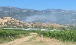 Manisa'da Maki Yangınında Alevler Ormana Sıçradı