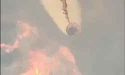 Aydın'da Maki Yangını Çıktı