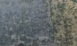 Pamukkale'de Orman Yangını Kontrol Altına Alındı