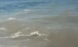 Bodrum'da Deniz Kirliliği; Soruşturma Başlatıldı
