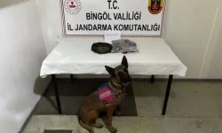Bingöl'de Aranan 4 Firari Hükümlü Yakalandı