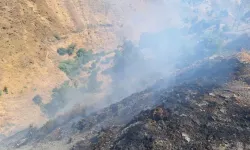 Genç’te Eski Köy Mezarlığında Örtü Yangını
