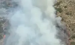 Antalya'da Orman Yangını Çıktı